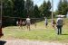 Guests having fun at the volleyball court