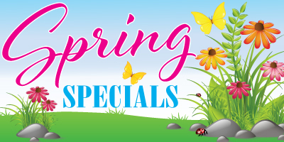 Spring Special